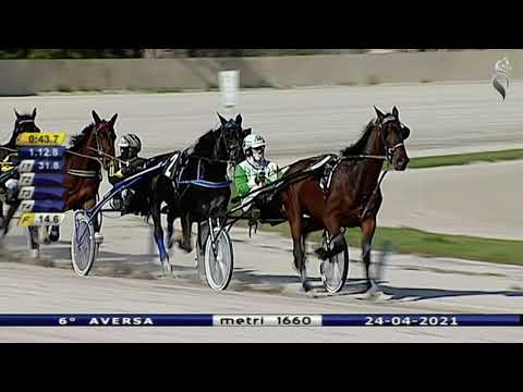 Aversa trotto 24 Aprile 2021 - 6° Corsa