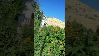 2nd Anniversary Open House of UVPCGG Pt 7