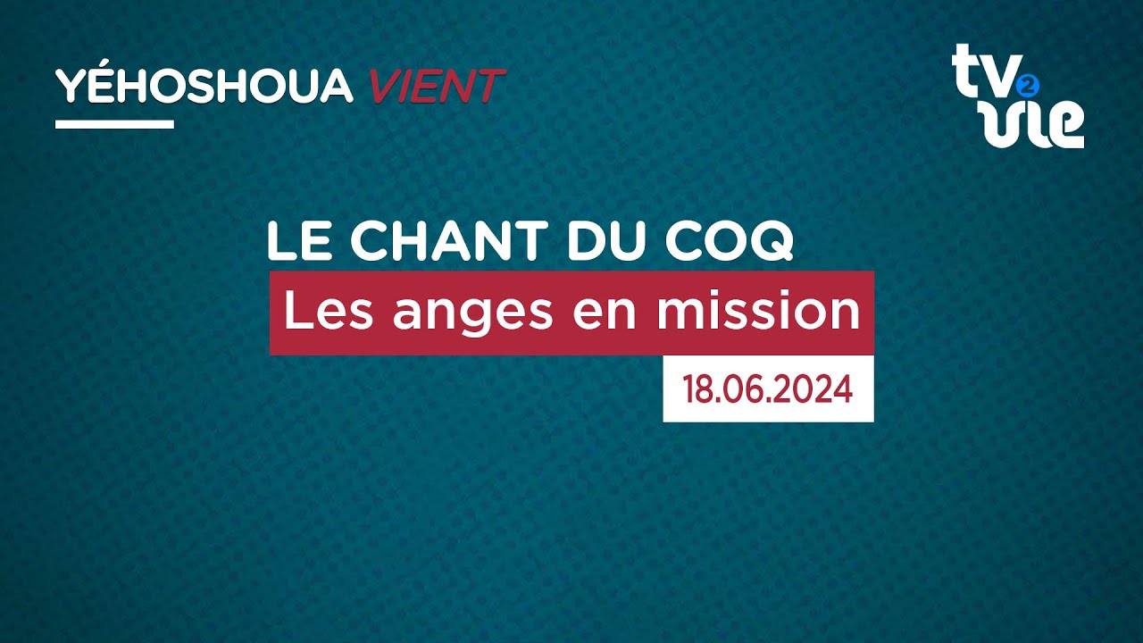 Thumbnail of video: Les anges en mission