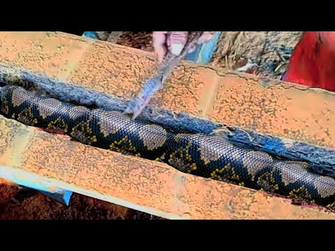 80 seconds before the deadly tension occurred at the Sawmill