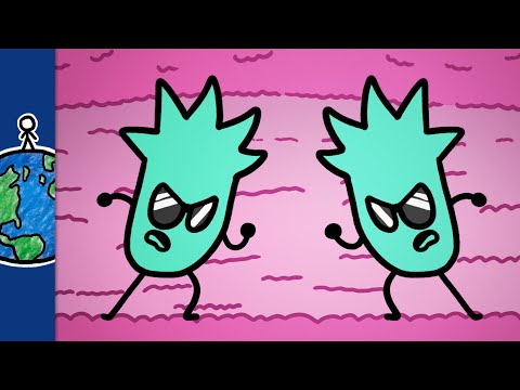 Monoclonal Antibodies | How to Turn Cancer Against Itself