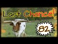 E 82 Last Chance