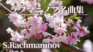 Download lagu 【名曲クラシック】ラフマニノフの名曲から5曲セレクトしました♪S.Rachmaninov  作業用BGM mp3