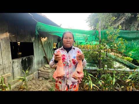 Yummy Braised Pork Trotter Leg Recipe 卤豬脚 ខ ជើងជ្រូក