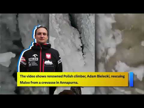 Video shows Anurag Maloo being rescued from Nepal's Mt Annapurna
