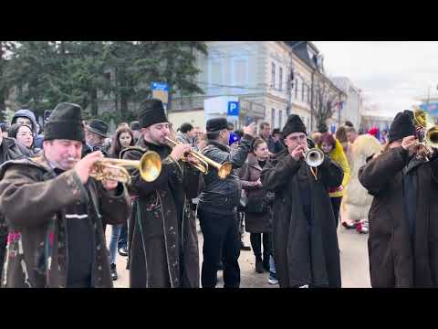 O ce bucurie mare ! 🎺🎺🎺🎺🎺🎺🎺