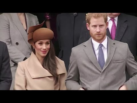 英国王室のテレビはハリーとメーガンと真っ向勝負 (UK royals TV head-to-head with Harry and Meghan)