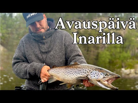 TAIMENEN KALASTUSTA INARILLA || LIVEKALASTUSTA