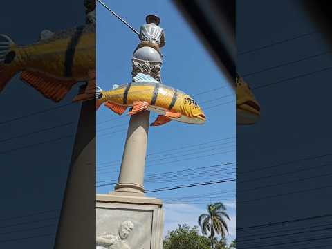 O que eu peguei era maior...inajá PR