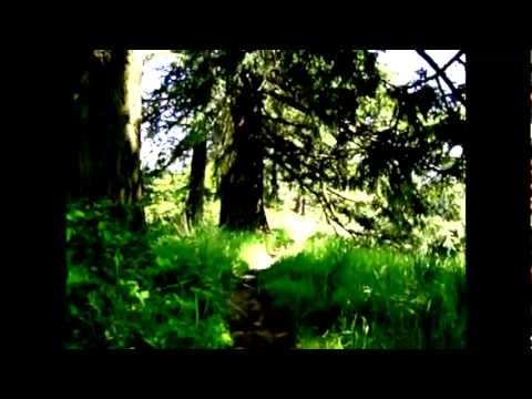 Shadow of Mankind Feat. Jay Murgas - Midas Touch (Produced by Mike Mo)