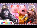 Every Sing Audition Ever! 🎤 | 8 Minute Compilation | Sing & Sing 2 | Movie Moments | Mini Moments