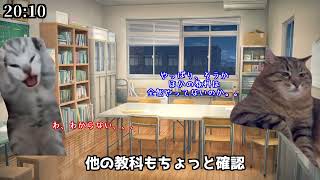 ちょっと特殊な塾講師バイトの１日【猫ミーム】