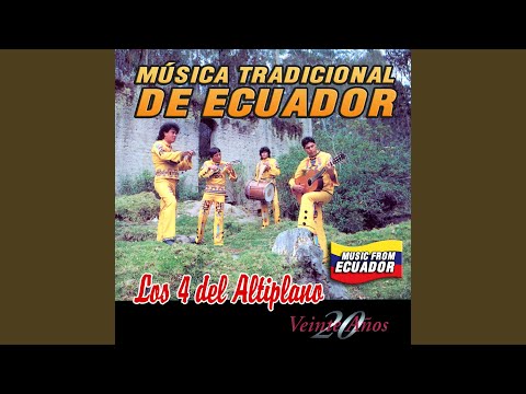 Estrella De La Noche (Jarape)