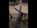 Lil Bro Wasted His Special Move