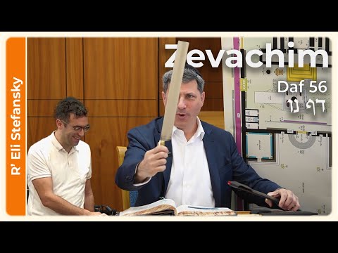 Daf Yomi Zevachim Daf 56 by R' Eli Stefansky