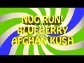 NUG RUN! BLUEBERRY AFGHAN KUSH  #CRTV420