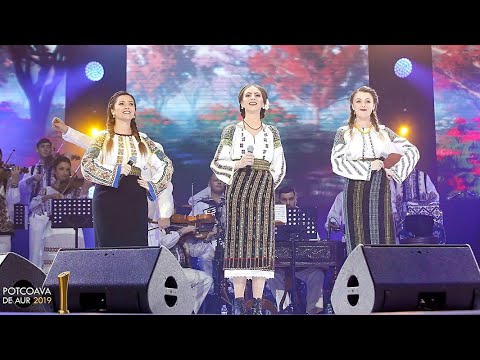 ​Fetele din Botosani si fratii Advahov - Dragostea îi taină mare #potcoavadeaur