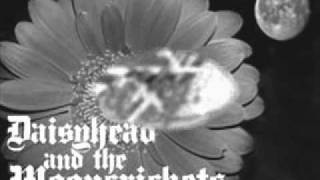 Daisyhead & The Mooncrickets "untitled tracks"