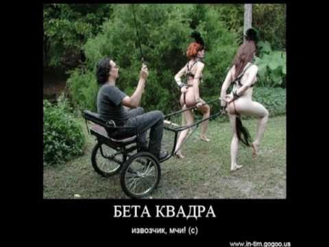 Forsh   The coachman   karapan