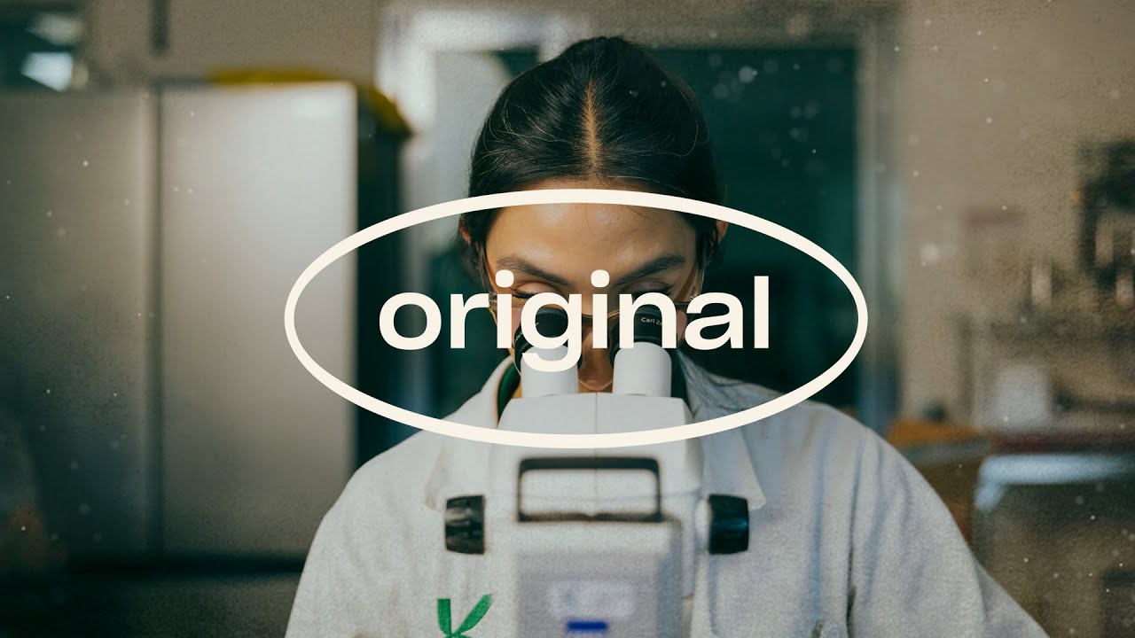 Video preview poster