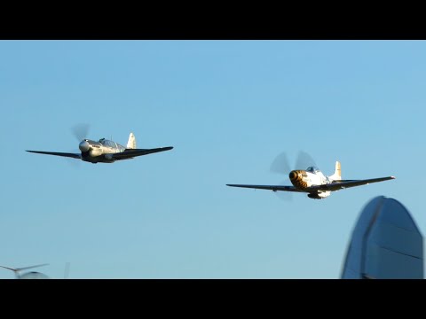 (4K) P-51 & P-40 Highlights | Warbirds Showcase 2023