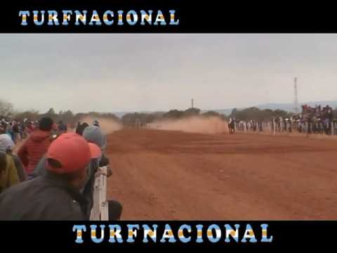 PATQUIA DIFUNTA CORREA 06 03 2016   CARRERA 1   SOY NORTEÑO   COOL   DON ALBERTO   BUEN AMIGO   PRIN