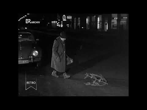 Bitte recht freundlich (1963)