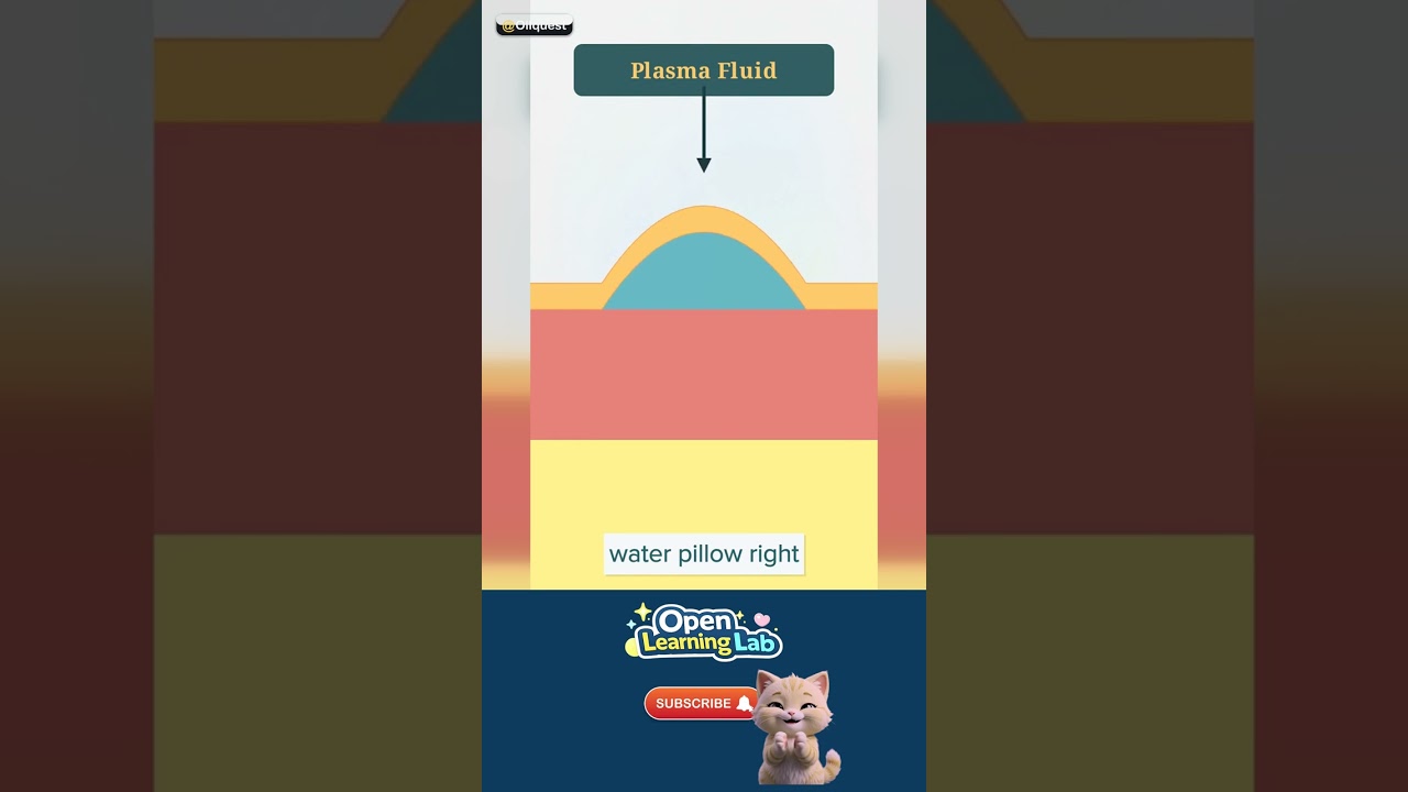 Why Do We Get Blisters? — The WHOA fact 🚀 #Shorts
