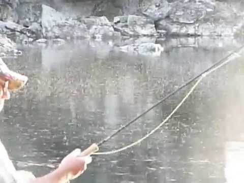 mückenschlupf Miekak 2010