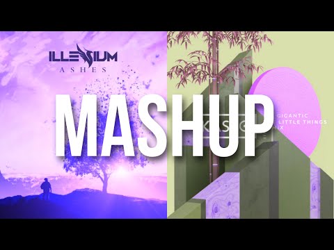ILLENIUM x Kasbo - The Reverie Things (erdem kriser Mashup)
