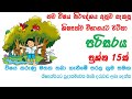 Primary Environment Pepar 01
