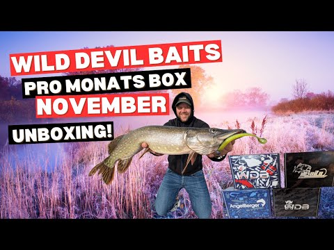Die Wild Devil Baits Pro Monatsbox November im Unboxing! Raubfischtackle für kleine Kohle!
