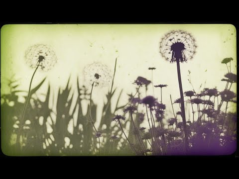 miniMIX II Apocalypse Now x Dear Weed Man II Ganja White Night x BOOGIE T.RIO (GWN rmx)