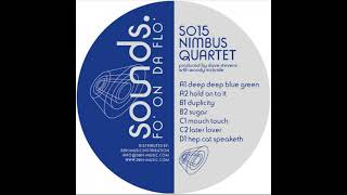 Nimbus Quartet - Hold On To It