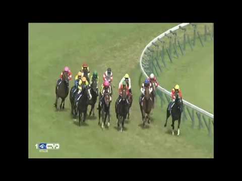 2016.06.05 Yasuda Kinen (JPN) - Logotype