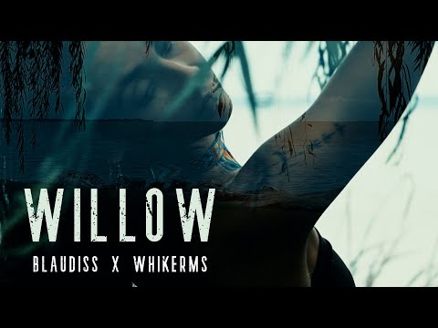 BlauDisS x whikerms - Willow (Official Music Video feat. Armani Acte)