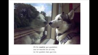 yo tenia diez perritos