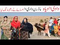 Dadi Ramzi Noori Bilo Bhootna Shoki Sanam Falak Sher Funny Video Rachnavi Tv