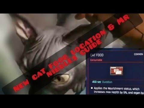 Cyberpunk: NEW cat food location - whole pet guide.
