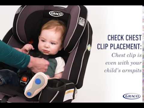 Graco dlx platinum 2025
