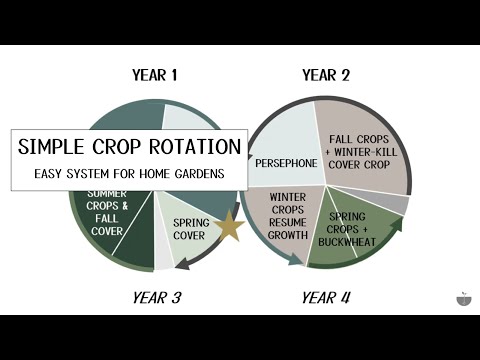 Simple Crop Rotation System + Working in Cover Crops (for the home garden)