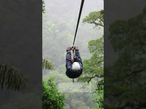 Things To Do In Ooty