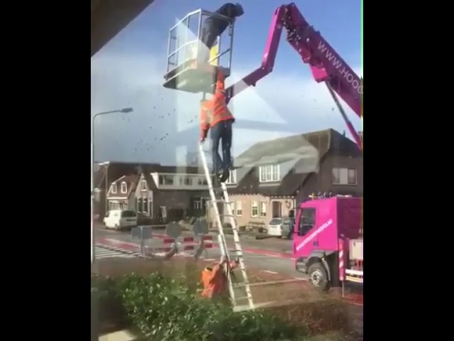 И что вообще могло пойти не так?