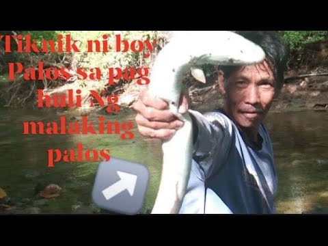 Part 40 Palos Hunter Ang tiknik ni boy Palos sa pag huli Ng Malaking palos ♥️