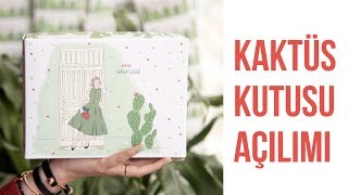 BikutuMutluluk Kaktüs Hediye Kutusu Kutu Açılımı | Kaktüs Temalı Hediy