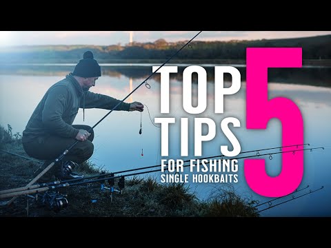 TOP 5 TIPS FOR FISHING SINGLE HOOKBAITS! Winter Carp Fishing! Catch Carp In Winter! Mainline Baits