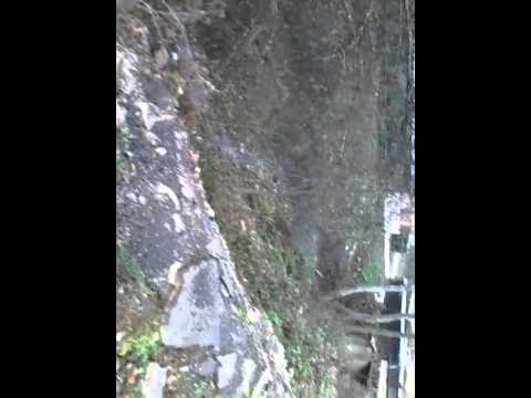 Vlog manastirea nechit peatra neamt