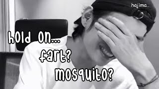 reaction of taehyung when army said his bgm sounds like fart and mosquito video