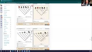 Gizmos Cladograms Lab