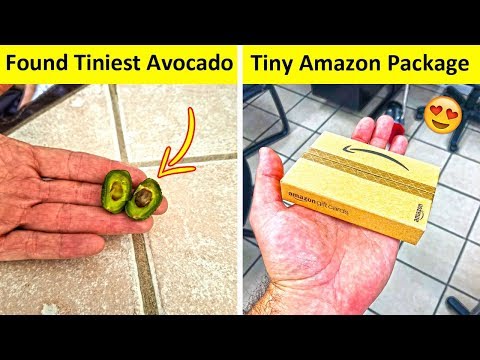 People Who Found The Tiniest Things Ever Video
